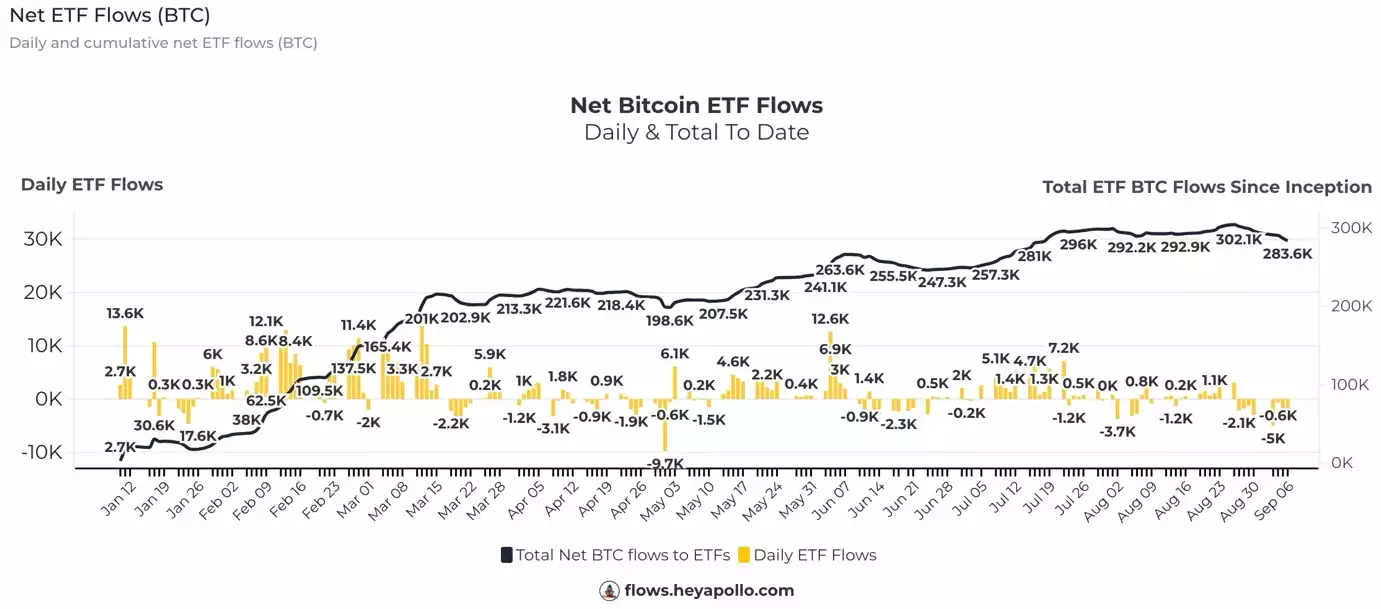 Bitcoin Analysis September 2024 Net ETF Flows Bitcoin Bitcoin Analysis September 2024 Net ETF Flows Bitcoin
